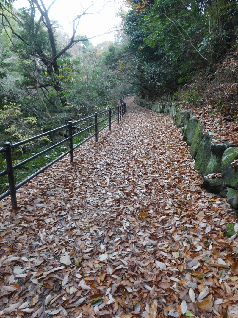 2025-12_SEITA7.jpg(220078 byte)